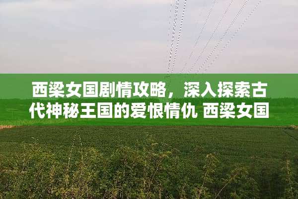 西梁女国剧情攻略，深入探索古代神秘王国的爱恨情仇 西梁女国剧情攻略