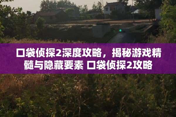 口袋侦探2深度攻略，揭秘游戏精髓与隐藏要素 口袋侦探2攻略