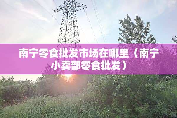 南宁零食批发市场在哪里（南宁小卖部零食批发）