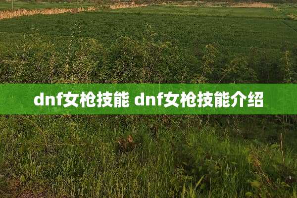 dnf女*技能 dnf女*技能介绍
