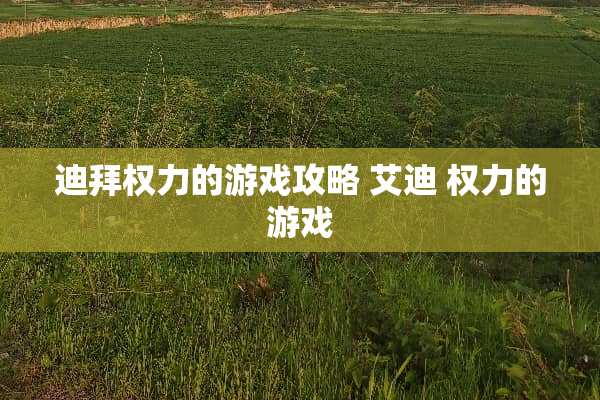 迪拜权力的游戏攻略 艾迪 权力的游戏