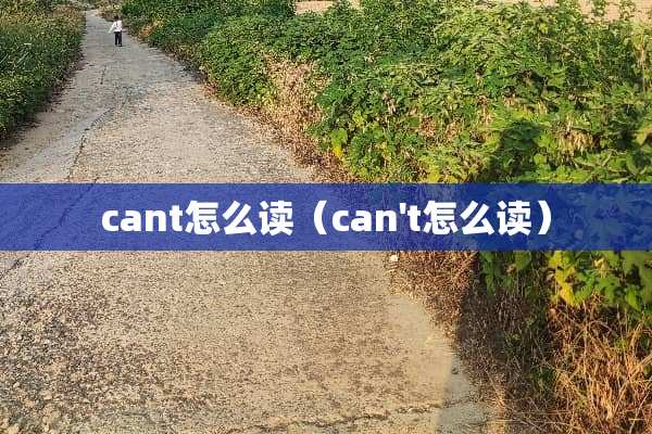 cant怎么读（can't怎么读）