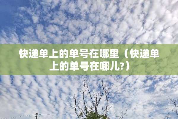 快递单上的单号在哪里（快递单上的单号在哪儿?）