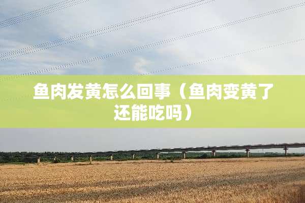 鱼肉发黄怎么回事（鱼肉变黄了还能吃吗）