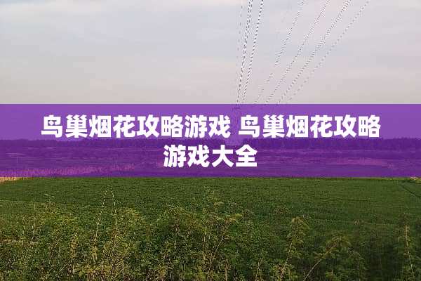 **烟花攻略游戏**烟花攻略游戏大全