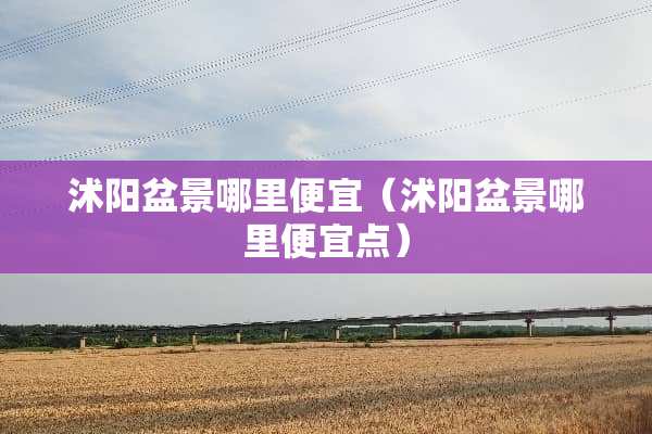 沭阳盆景哪里便宜（沭阳盆景哪里便宜点）