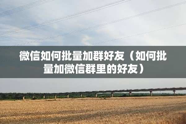 微信如何批量加群好友（如何批量加微信群里的好友）