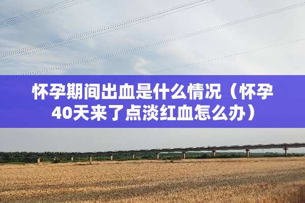 怀孕期间出血是什么情况（怀孕40天来了点淡红血怎么办）
