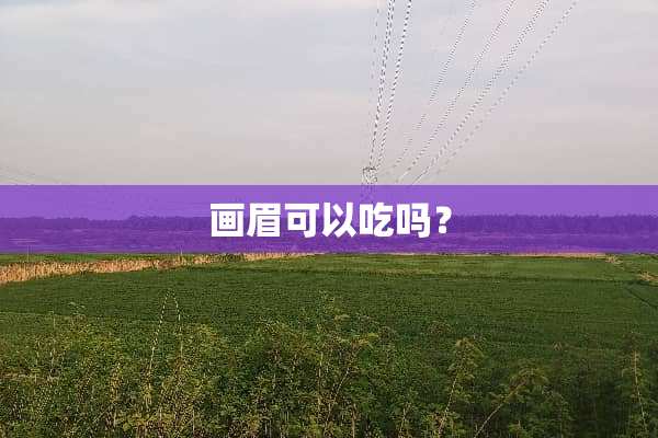 画眉可以吃吗？