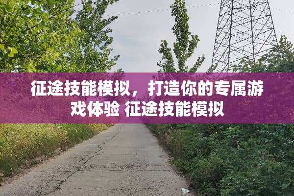 **技能模拟，打造你的专属游戏体验**技能模拟