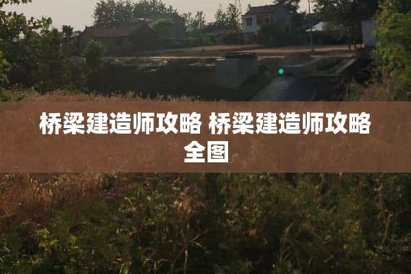 桥梁建造师攻略 桥梁建造师攻略全图