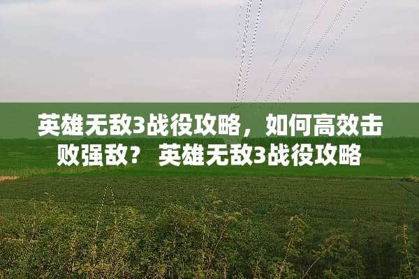 英雄无敌3战役攻略，如何高效击败强敌？ 英雄无敌3战役攻略