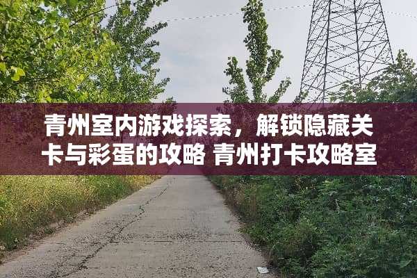 青州室内游戏探索，解锁隐藏关卡与彩蛋的攻略 青州打卡攻略室内游戏