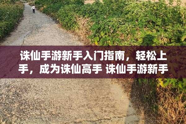 诛仙手游新手入门指南，轻松上手，成为诛仙高手 诛仙手游新手攻略