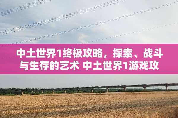 中土世界1终极攻略，探索、战斗与生存的艺术 中土世界1游戏攻略