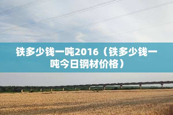 铁多少钱一吨2016（铁多少钱一吨今日钢材价格）