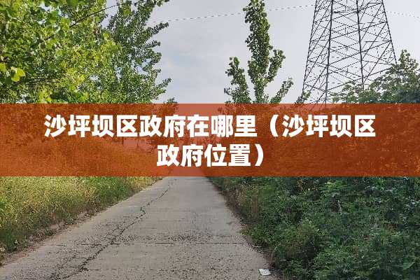 沙坪坝区政府在哪里（沙坪坝区政府位置）