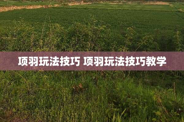 项羽玩法技巧 项羽玩法技巧教学