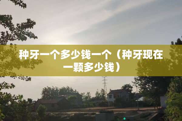 种牙一个多少钱一个（种牙现在一颗多少钱）