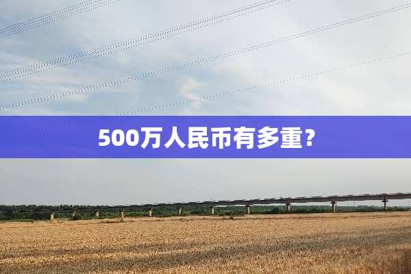 500万人民币有多重？