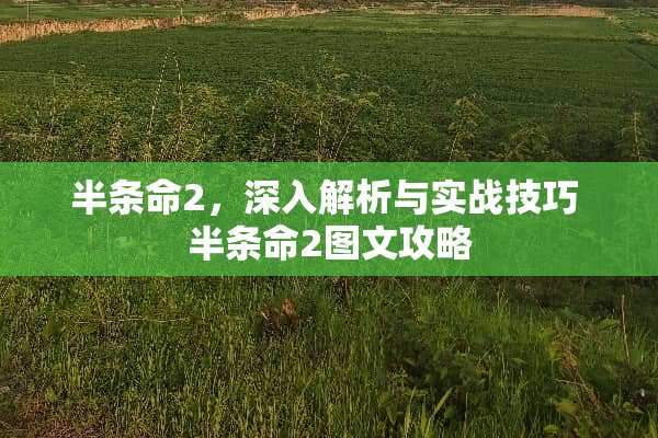 半条命2，深入解析与实战技巧 半条命2图文攻略