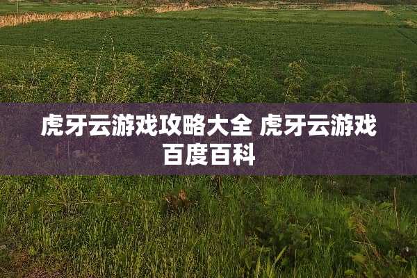 **云游戏攻略大全**云游戏百度百科