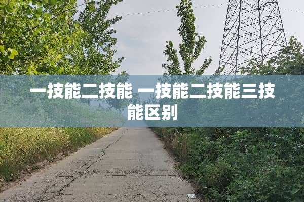 一技能二技能 一技能二技能三技能区别