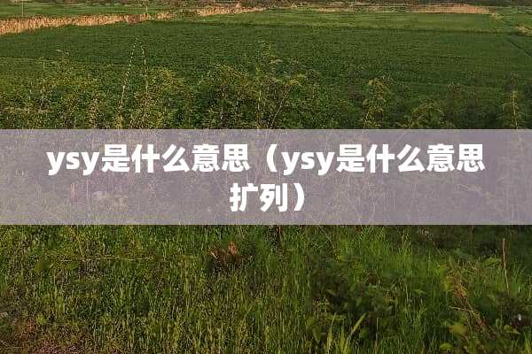 ysy是什么意思（ysy是什么意思扩列）