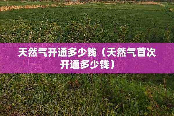 天然气开通多少钱（天然气首次开通多少钱）