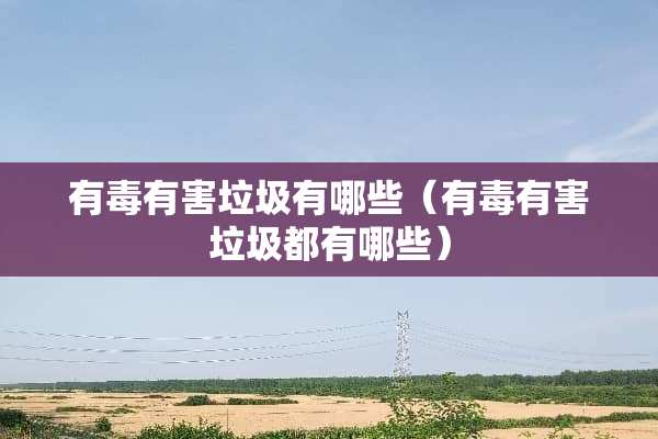 有毒有害垃圾有哪些（有毒有害垃圾都有哪些）