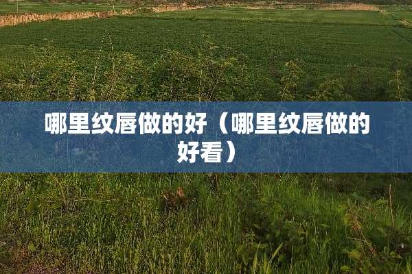 哪里纹唇做的好（哪里纹唇做的好看）