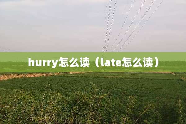 hurry怎么读（late怎么读）