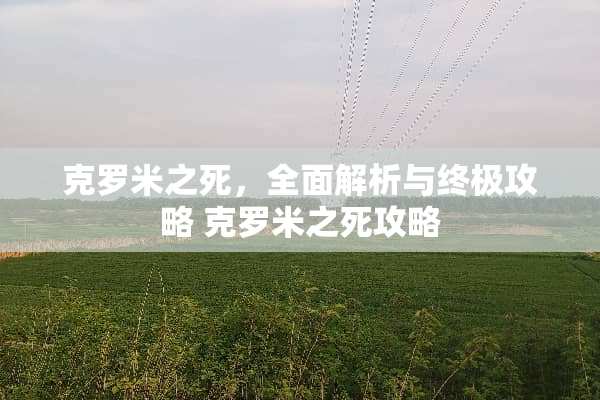 克罗米之死，全面解析与终极攻略 克罗米之死攻略