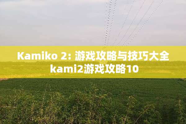 Kamiko 2: 游戏攻略与技巧大全 kami2游戏攻略10