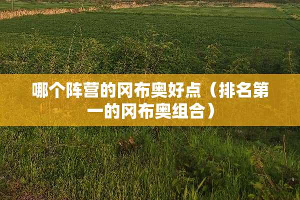 哪个阵营的冈布奥好点（排名第一的冈布奥组合）