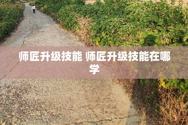师匠升级技能 师匠升级技能在哪学