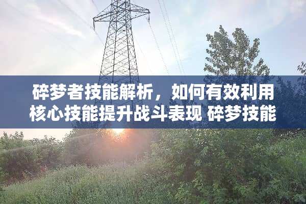 碎梦者技能解析，如何有效利用核心技能提升战斗表现 碎梦技能介绍