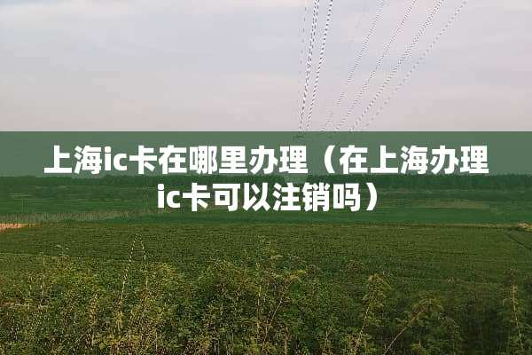 上海ic卡在哪里办理（在上海办理ic卡可以注销吗）