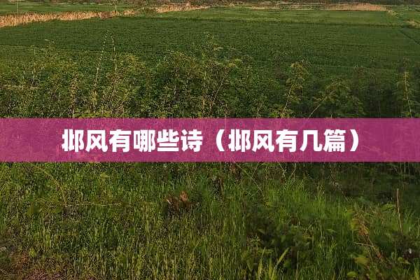 邶风有哪些诗（邶风有几篇）