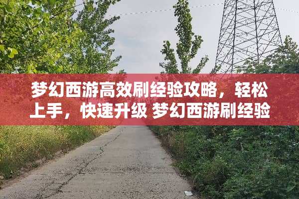 梦幻西游高效刷经验攻略，轻松上手，快速升级 梦幻西游刷经验攻略
