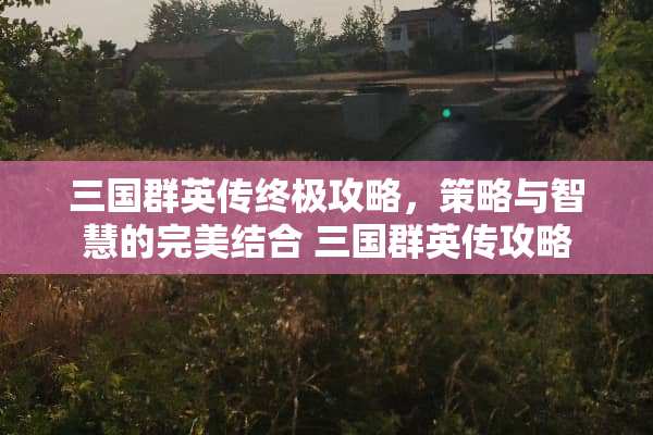 三国群英传终极攻略，策略与智慧的完美结合 三国群英传攻略