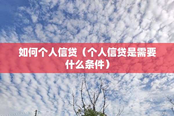 如何个人信贷（个人信贷是需要什么条件）