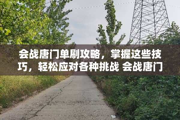 会战唐门单刷攻略，掌握这些技巧，轻松应对各种挑战 会战唐门单刷攻略