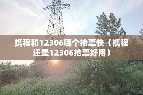 携程和12306哪个抢票快(携程还是12306抢票好用)