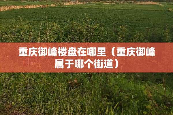 重庆御峰楼盘在哪里（重庆御峰属于哪个街道）