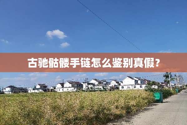 古驰骷髅手链怎么鉴别真假？