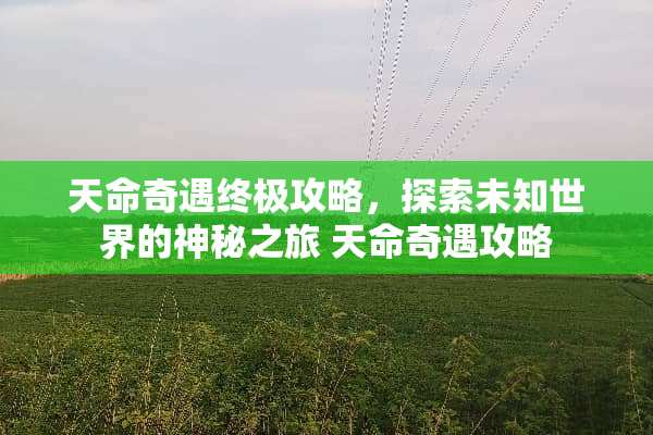 天命奇遇终极攻略，探索未知世界的神秘之旅 天命奇遇攻略