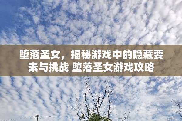 **圣女，揭秘游戏中的隐藏要素与挑战**圣女游戏攻略