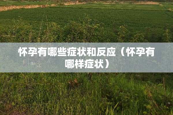 怀孕有哪些症状和反应（怀孕有哪样症状）