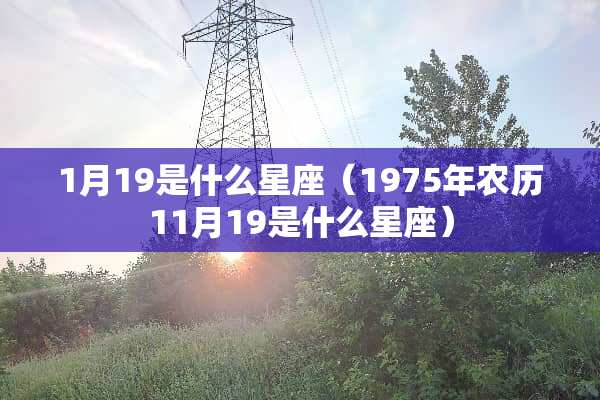 1月19是什么星座（1975年农历11月19是什么星座）